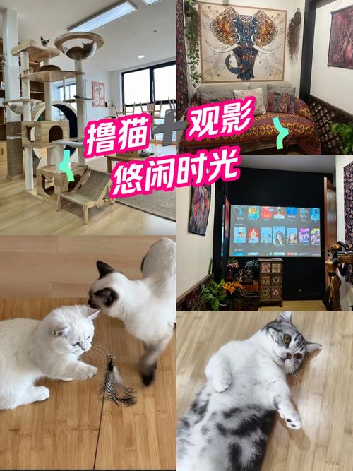 猫狗影院在线观看 - 免费高清影视资源大全 | 热门电影电视剧推荐与极速播放