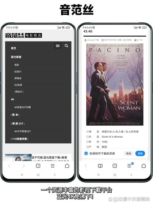4hu影院在线观看-高清影视资源免费追剧，最新热门电影电视剧推荐（4hu影院、免费追剧、高清影视）