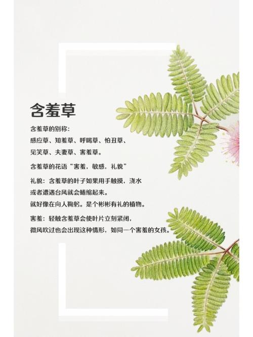 好男人视频影院 - 2024最新高清影视资源在线观看，免费追剧神器与热门大片推荐