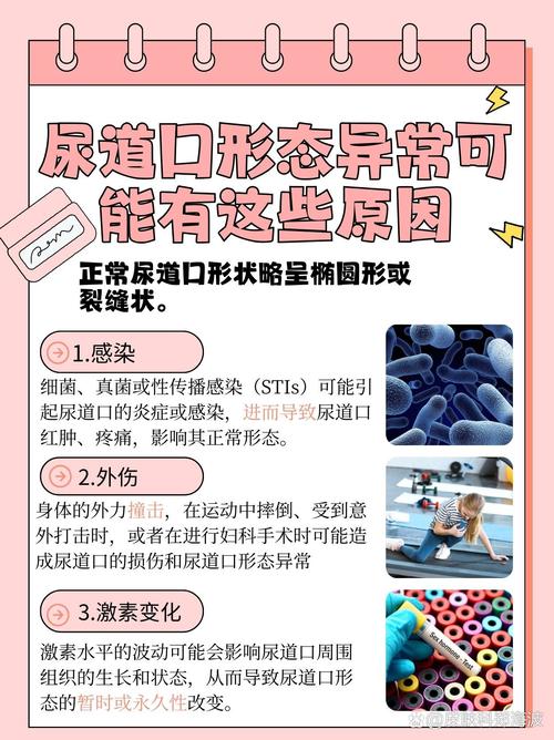 高清毛片快播的相关介绍