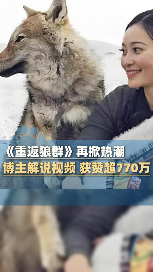 18禁成人无遮挡h片在线播放的相关介绍