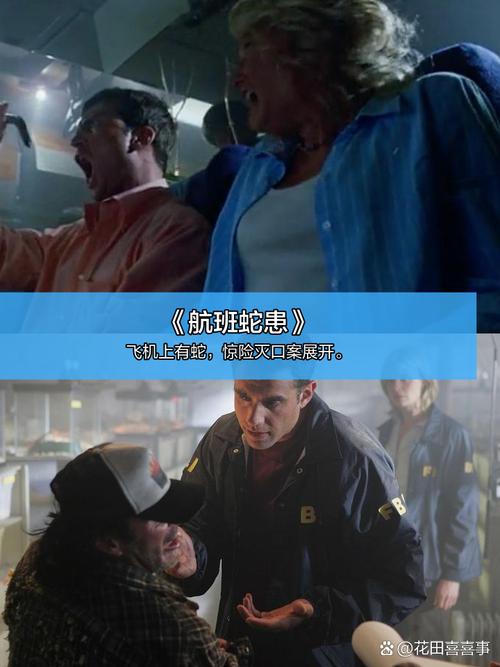 5G手机影院观影新体验：2025年最新高速网络畅享高清流畅播放，长尾关键词：在线视频平台推荐