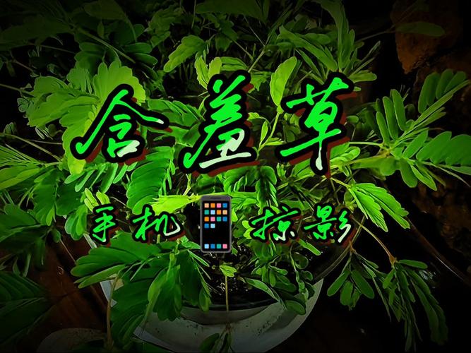 济宁电影院观影指南 | 2025最新排片表 | 济宁周末好去处