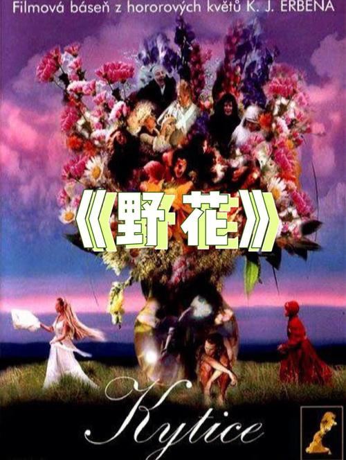 电影院排片表｜今日热映电影场次查询｜最新排片时间表一览