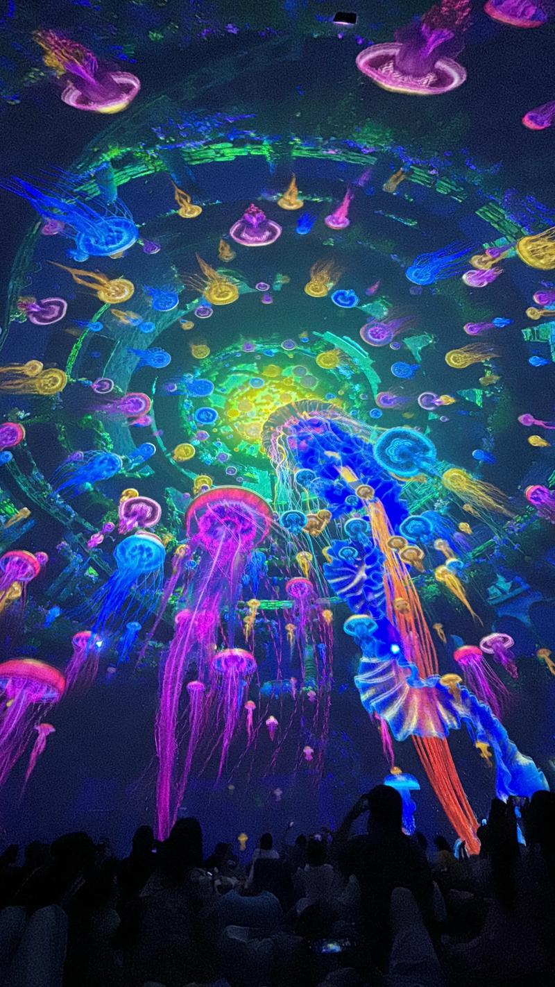 98影院手机在线视频 - 高清免费追剧神器，手机在线观看最新热门影视资源