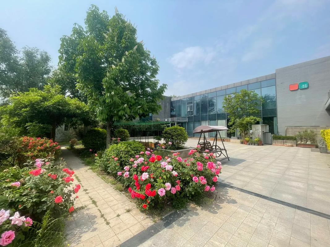 广东影院暂停营业最新通知，恢复时间、退票政策及周边场所开放情况汇总