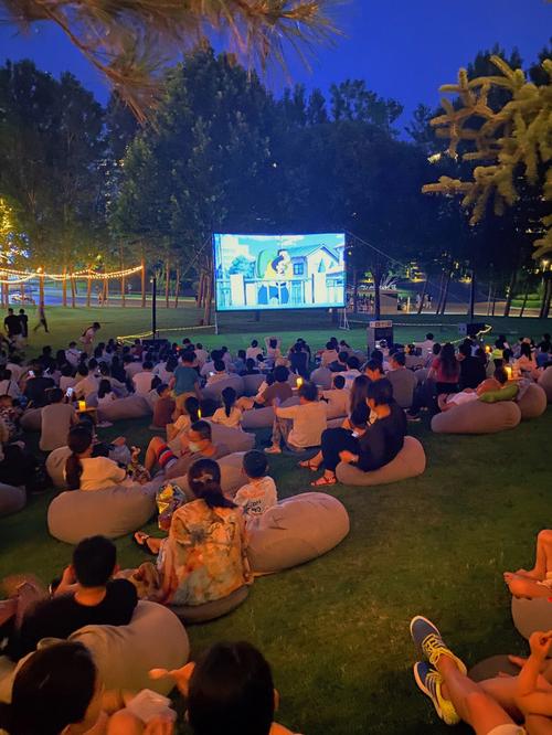 私人艺术影院观影指南 | 小众片单推荐 | 独立电影放映