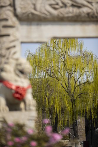 家庭影院设计与装修指南 | 私人影院声学处理、4K投影布线方案、沉浸式音响系统定制