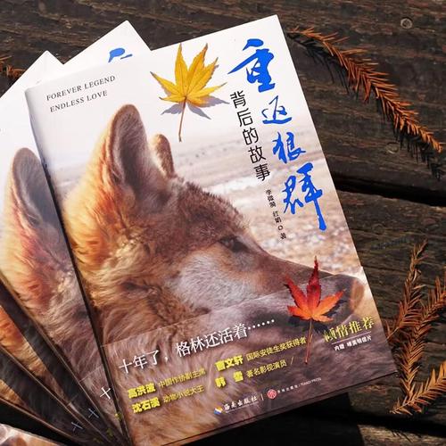 新时空影院 | 最新电影排期、在线选座购票、热门大片推荐