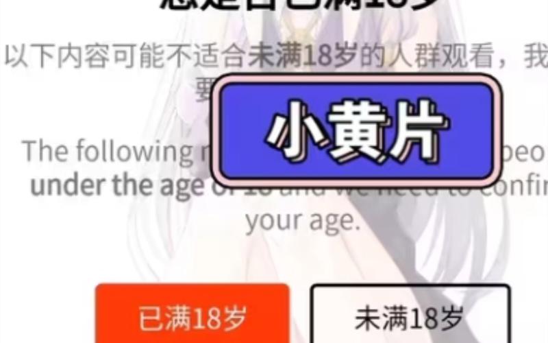 18岁末年禁止免费影院：破解年龄限制的合法观影指南与长尾关键词优化技巧
