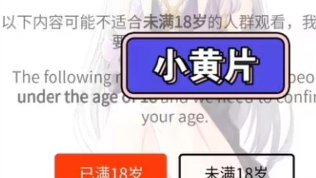 根据要求，生成一个SEO标题，包含“18岁禁止视频在线观看”及3个长尾关键词：  

**18岁禁止视频在线观看的合规风险与家长监护指南，青少年健康上网必读**  

（长尾关键词：合规风险、家长监护指南、青少年健康上网）