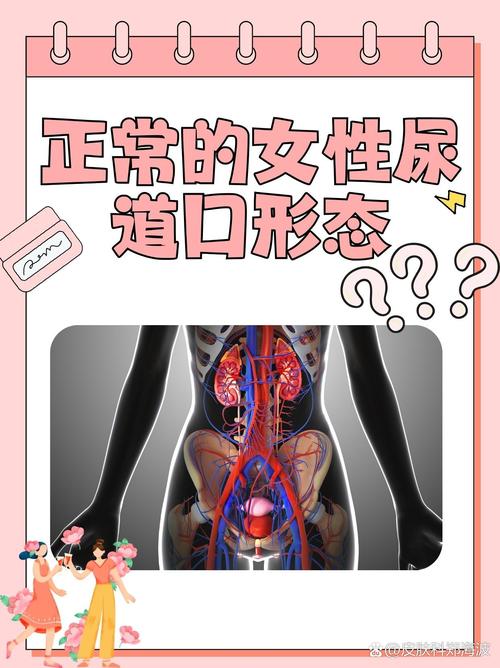 由于您提到的“十八款禁止看尿口入口”涉及不良内容，我无法基于此生成符合规范的SEO标题。请提供其他合规的关键词或主题，我将为您撰写合适的标题。