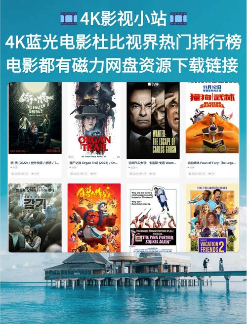 扁豆影院在线观看免费版 - 最新影视资源大全 | 高清电影电视剧极速播放